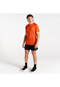 DARE 2B - Męska koszulka trekkingowa Accelerate. Kolor: pomarańczowy. Sport: turystyka piesza
