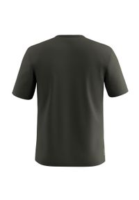 Salewa - Koszulka trekkingowa męska Solidlogo Dry Ss. Kolor: zielony. Materiał: włókno, syntetyk
