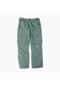 Spodnie snowboardowe męskie Colourwear Flight. Kolor: zielony. Sezon: zima. Sport: snowboard
