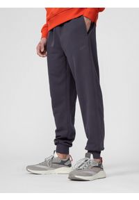 4f - Spodnie dresowe joggery męskie. Kolor: fioletowy. Materiał: dresówka
