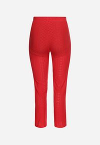 Born2be - Czerwone Spodnie z Wysokim Stanem i Ażurową Wstawką Brosemia. Okazja: na spotkanie biznesowe, na co dzień. Stan: podwyższony. Kolor: czerwony. Materiał: bawełna. Wzór: ażurowy. Styl: casual, elegancki, biznesowy #5