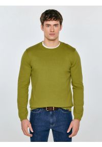 Big-Star - Sweter męski bawełniany zielony Simoner 301. Okazja: na co dzień. Kolor: zielony. Materiał: bawełna. Długość rękawa: długi rękaw. Długość: długie. Wzór: gładki, aplikacja, ze splotem. Styl: casual, klasyczny #1