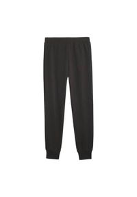 Spodnie sportowe męskie Puma 62114801. Kolor: czarny. Styl: sportowy
