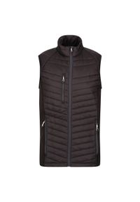 Regatta - Bezrękawnik Męska Pikowanie Hybrydowy. Kolor: szary, fioletowy, wielokolorowy, czarny. Długość rękawa: bez rękawów. Sport: turystyka piesza #1