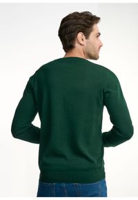 Ochnik - Zielony sweter męski basic. Okazja: na co dzień. Kolor: zielony. Materiał: bawełna. Długość: długie. Styl: casual
