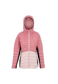 Regatta - Kurtka damska hybrydowa z kapturem Leedre. Typ kołnierza: kaptur. Kolor: różowy. Materiał: puch, syntetyk. Sport: turystyka piesza #1