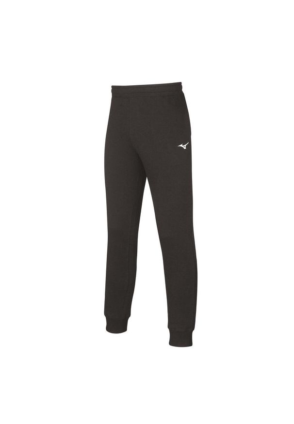 Spodnie Mizuno Team. Kolor: czarny. Sport: fitness