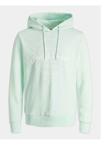 Jack & Jones - Jack&Jones Bluza Forest 12249237 Zielony Standard Fit. Kolor: zielony. Materiał: bawełna, syntetyk #4