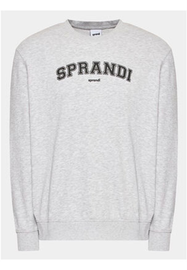 Sprandi Bluza SP3-BLM042 Szary Regular Fit. Kolor: szary. Materiał: bawełna