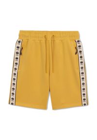 PITBULL - Spodenki męskie Pitbull Track Shorts Powers. Kolor: żółty. Sport: fitness