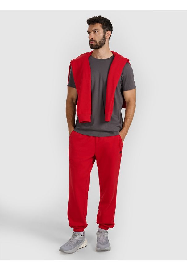 4f - 4F T-shirt regular z nadrukiem męski - szary S. Okazja: na co dzień. Kolor: szary. Materiał: bawełna, materiał, jersey. Długość rękawa: krótki rękaw. Długość: krótkie. Wzór: nadruk. Styl: klasyczny, casual, sportowy