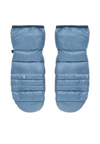 Rękawice narciarskie Cotopaxi. Kolor: niebieski. Sport: narciarstwo #1