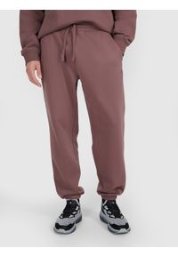 4f - 4F Spodnie dresowe joggery męskie - brązowe XXL. Kolor: brązowy. Materiał: dresówka. Wzór: gładki, ze splotem #2