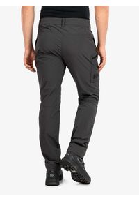 Spodnie turystyczne męskie Helly Hansen Brono Softshell Pant. Kolor: szary. Materiał: softshell