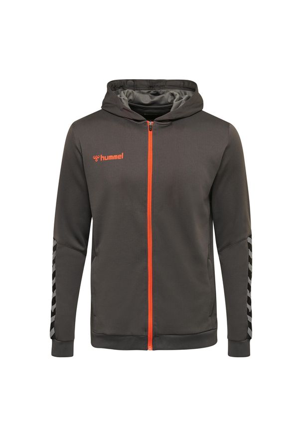 Bluza z kapturem dla dzieci Hummel zip hmlAUTHENTIC Poly. Typ kołnierza: kaptur. Kolor: szary. Sport: piłka ręczna