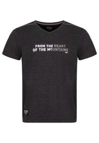 Lowa - Męski T-shirt Loaf Alpron M - Oddychająca Bawełna na Aktywne Dni. Kolor: wielokolorowy. Materiał: bawełna