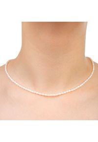 Enaya - Naszyjnik z białych drobnych pereł kolia chocker. Materiał: pozłacane, srebrne. Kolor: biały. Wzór: aplikacja. Kamień szlachetny: perła
