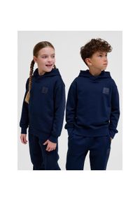 Bluza z kapturem dla dzieci Hummel Clean. Typ kołnierza: kaptur. Kolor: niebieski. Materiał: bawełna, dzianina #1