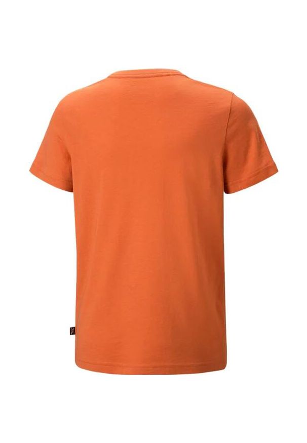 Koszulka Dziecięca Puma Ess+2 Col Logo Tee. Kolor: pomarańczowy. Materiał: bawełna. Wzór: kolorowy
