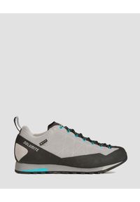 Buty trekkingowe damskie Dolomite Crodarossa Low GTX 2.0. Kolor: wielokolorowy, niebieski, szary