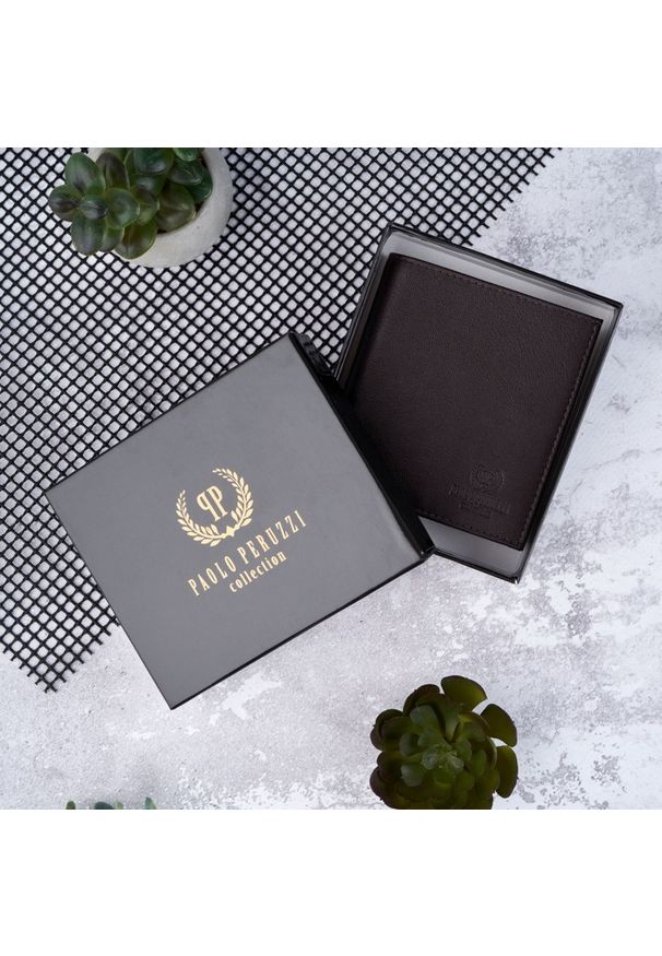 Portfel skórzany PAOLO PERUZZI IN-28-BR brązowy. Kolor: brązowy. Materiał: skóra