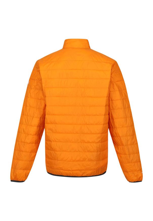 Regatta - Męska Kurtka Przejściowa Pikowana + Worek Hillpack. Kolor: wielokolorowy, brązowy, pomarańczowy. Materiał: puch. Sport: turystyka piesza