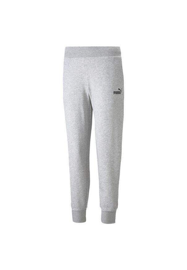 Spodnie damskie Puma ESS Sweatpants FL. Kolor: szary, wielokolorowy, czarny. Sport: fitness, joga i pilates