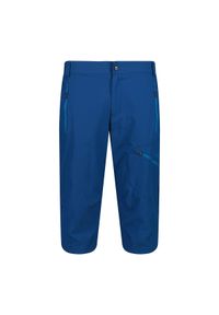 Spodenki męskie turystyczne CMP 31T5167. Kolor: niebieski. Sport: turystyka piesza #1