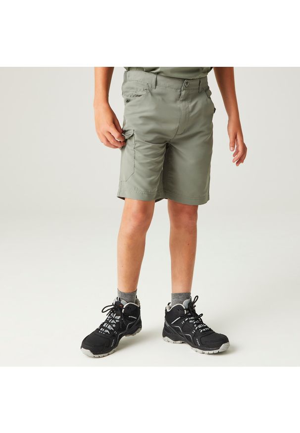 Regatta - Sorcers II dziecięce spodnie trekkingowe. Kolor: zielony. Materiał: poliester. Styl: sportowy. Sport: turystyka piesza