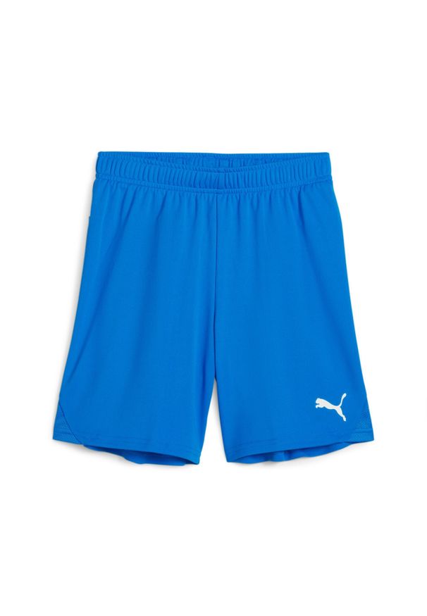Szorty dla dzieci Puma TeamGoal. Kolor: niebieski, wielokolorowy, biały. Styl: sportowy
