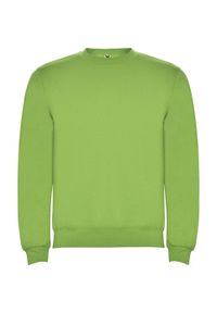 ROLY - Bluza Dziecięca Clasica Z Okrągłym Dekoltem. Kolor: zielony