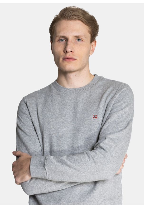 Bluza męska Napapijri Balis (NP0A4FQW1601). Kolor: szary