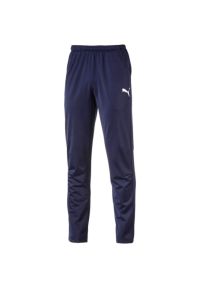 Spodnie Puma Men Liga Pants Core, Mężczyźni. Kolor: niebieski. Materiał: materiał, poliester