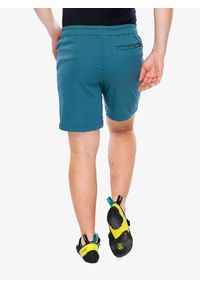 Spodenki wspinaczkowe męskie Black Diamond Notion Shorts. Kolor: zielony. Sport: wspinaczka