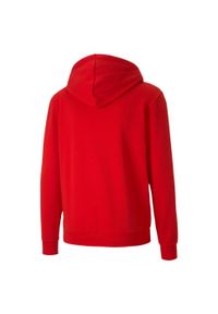 Bluza męska Puma teamGOAL 23 Casuals Hooded Jacket czerwona. Typ kołnierza: kaptur. Kolor: czerwony. Sport: piłka nożna