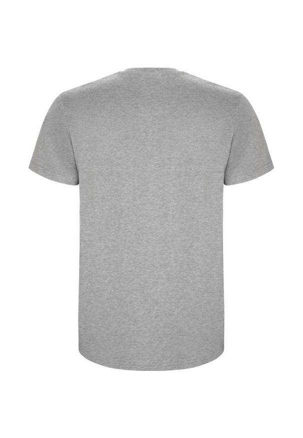 ROLY - Męska Koszulka Stafford. Kolor: szary. Sport: turystyka piesza