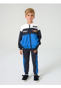 Sinsay - Spodnie dresowe Hot Wheels - szary. Kolor: szary. Materiał: dresówka