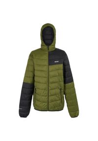 Regatta - Męska Kurtka Hillpack III Hooded Active Padded Jacket. Kolor: czarny, zielony, wielokolorowy. Materiał: puch. Sport: turystyka piesza