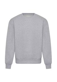 AWDIS - Bluza Unisex Dla Dorosłych Signature Heavyweight Heavyweight. Kolor: szary
