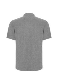 ROLY - Koszulka Polo Z Krótkim Rękawem Dla Dorosłych Unisex Centauro Premium. Typ kołnierza: polo. Kolor: szary. Długość rękawa: krótki rękaw. Długość: krótkie