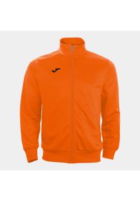 Bluza do piłki nożnej męska Joma Gala. Kolor: pomarańczowy. Sport: piłka nożna
