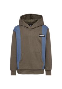 Bluza z kapturem dla dzieci Hummel Allton. Typ kołnierza: kaptur. Kolor: brązowy