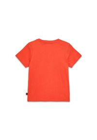 Koszulka Dziecięca LEGO NINJAGO Tano 315 Czerwona. Kolor: czerwony #2