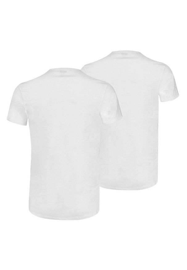 Koszulka męska Puma Basic 2p Crew Tee. Kolor: biały