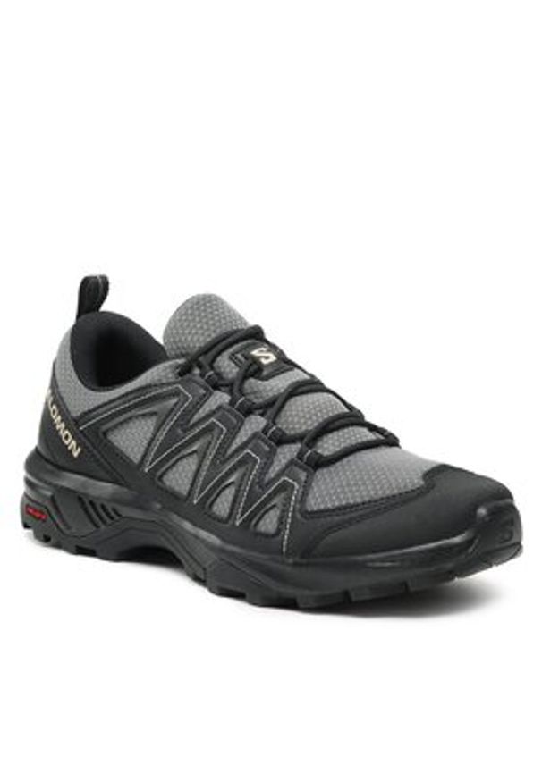 salomon - Salomon Trekkingi X Braze 471800 26 V0 Szary. Kolor: szary. Materiał: skóra. Sport: turystyka piesza