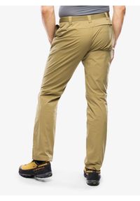 Spodnie trekkingowe męskie Montane Terra Lite Pants. Kolor: zielony