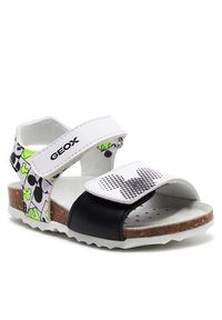 Geox Sandały B Sandal Chalki Boy B152QC 000BC C0552 M Biały. Kolor: biały