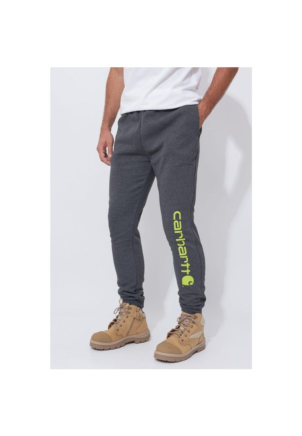 Spodnie męskie dresowe Carhartt Midweight Graphic Jogger. Kolor: szary. Materiał: dresówka