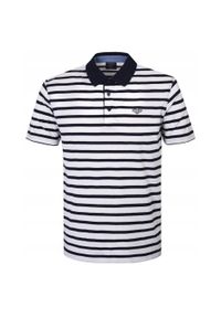 Koszulka Polo - Męska - Pako Jeans - Biała w Granatowy Prążek. Okazja: na co dzień. Typ kołnierza: polo. Kolor: niebieski. Materiał: bawełna. Wzór: paski, prążki. Styl: casual