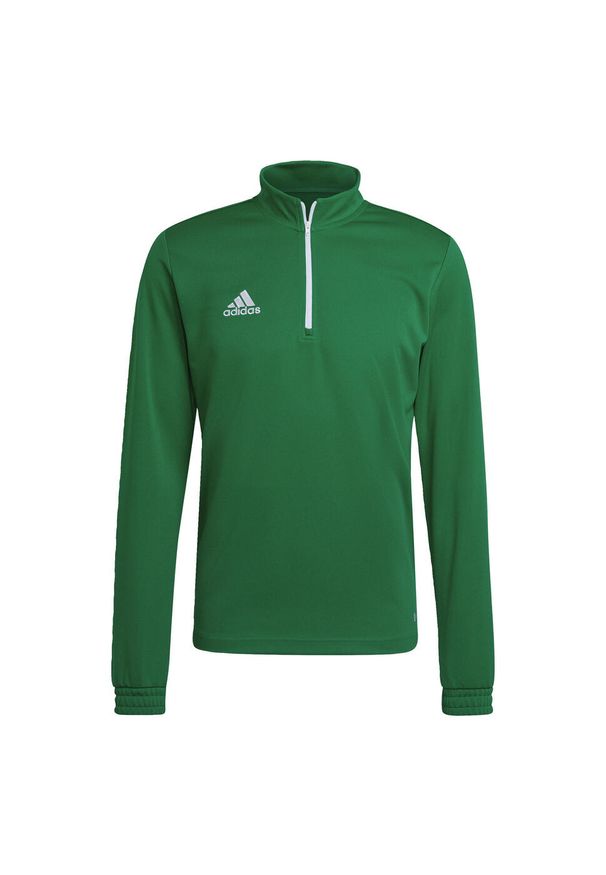 Bluza piłkarska męska Adidas Entrada 22 Training Top. Kolor: biały, wielokolorowy, zielony. Sport: piłka nożna